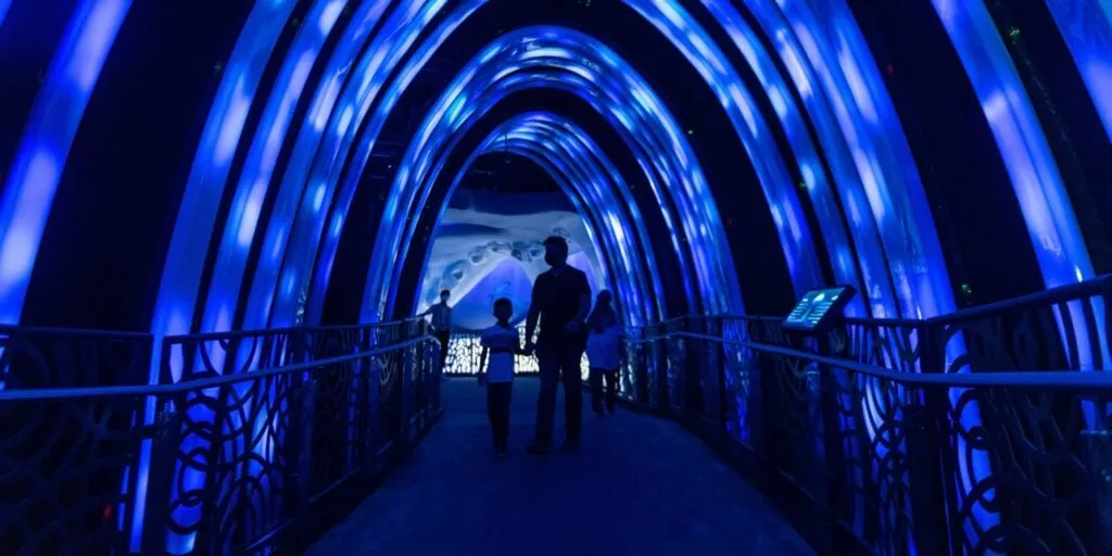 Water Festival at Expo City Dubai: Indoor Family Adventure for Two Weekends Only (2025 Guide)